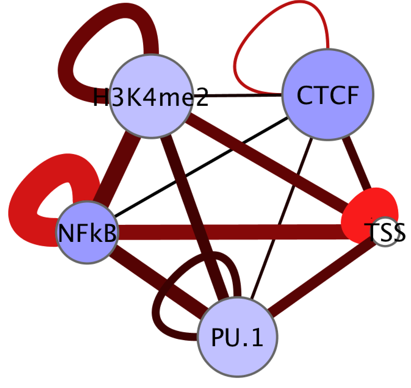Hi-C Homer Cytoscape Example