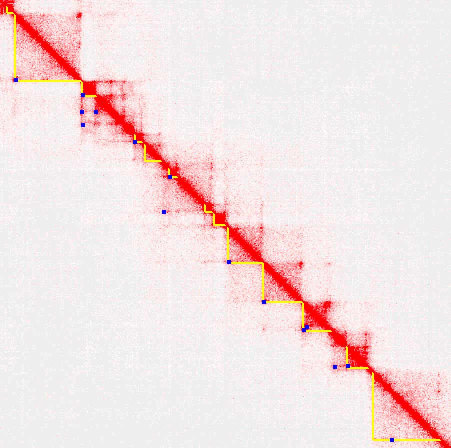 HOMER
                  juicebox example loops TADs