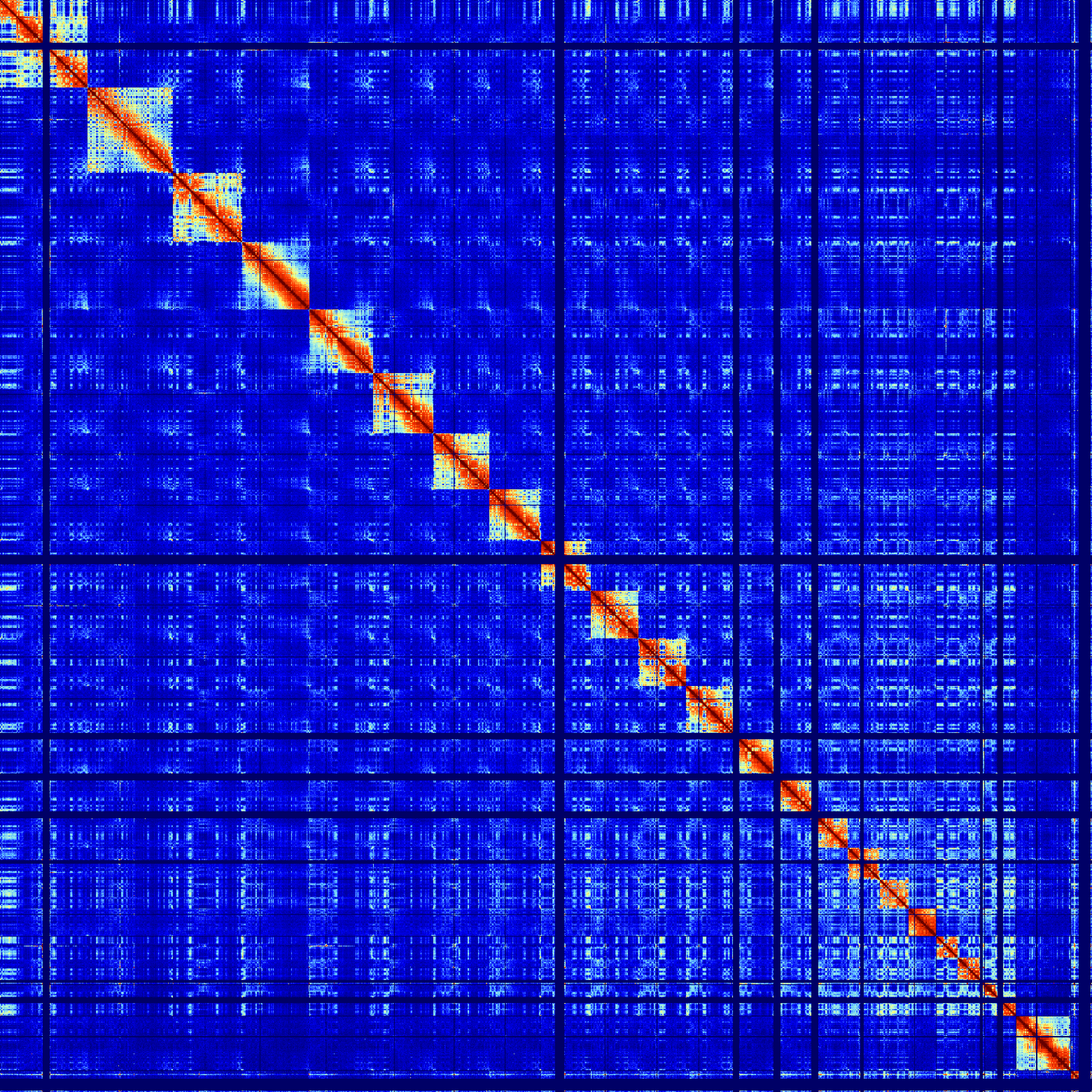 genome wide hi-c
                    map