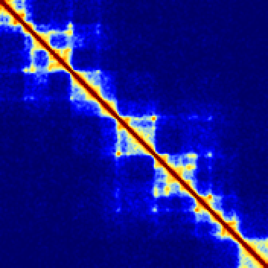 Hi-C contact matrix resolution 12.5kb window
                  25kb