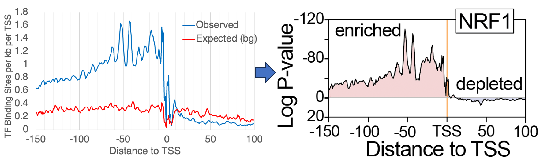 NRF1 HOMER
normalization example enrichment depletion