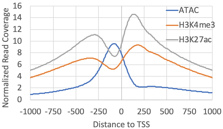 histone
                  modifications h3k27ac h3k4me3 atac csRNA-seq
